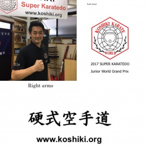Koshiki Karatedo Polo shorts photo